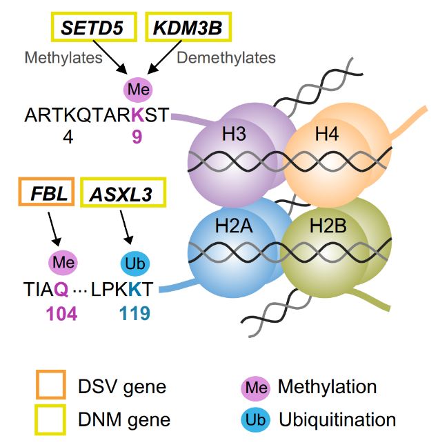 20220112_111539_238.png image001.png