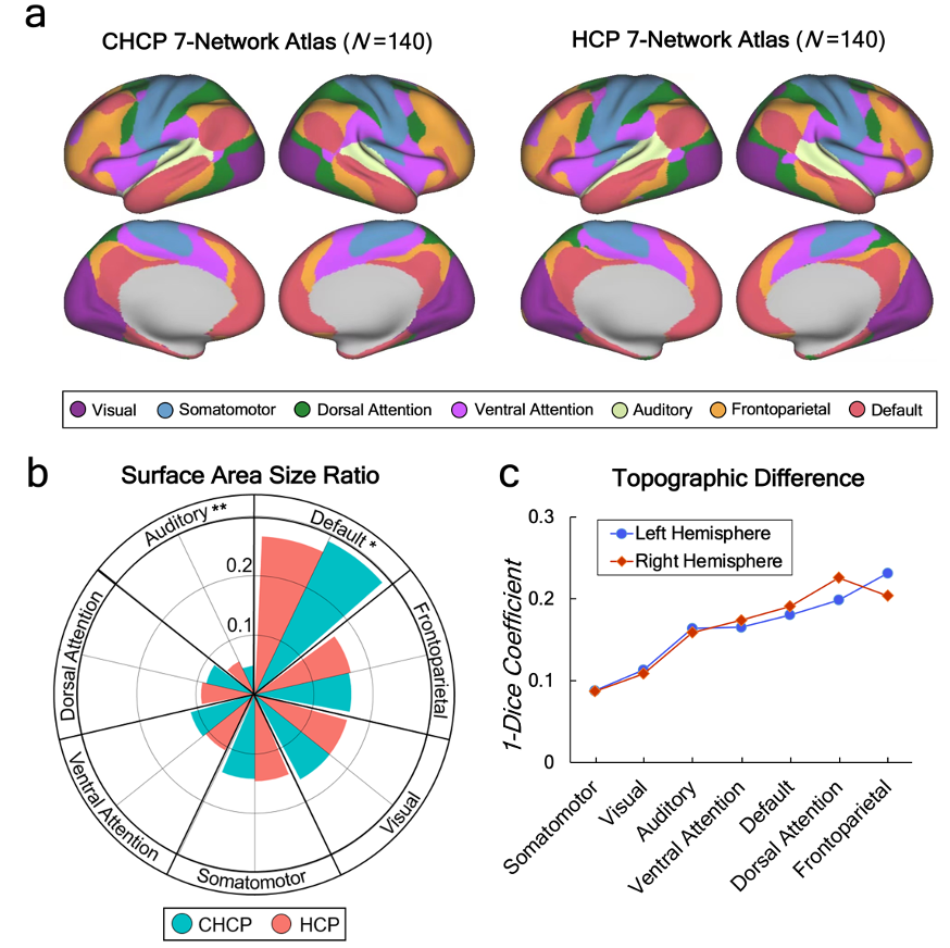 ��վ�ؼ���