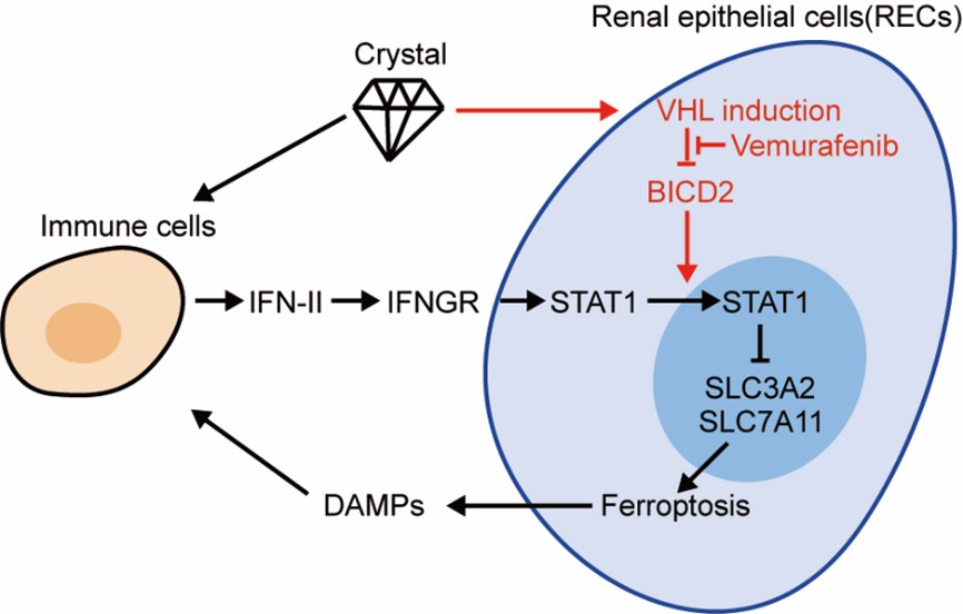 cc3e7ee0575042309c07d50381ecddb0.jpg 图片4.jpg