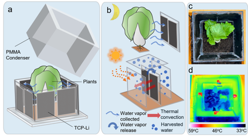 20240711_093242_177.png 王如竹2.png