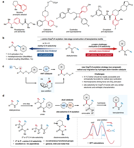 自由基化 2024091206395466e21c3aab74a.png