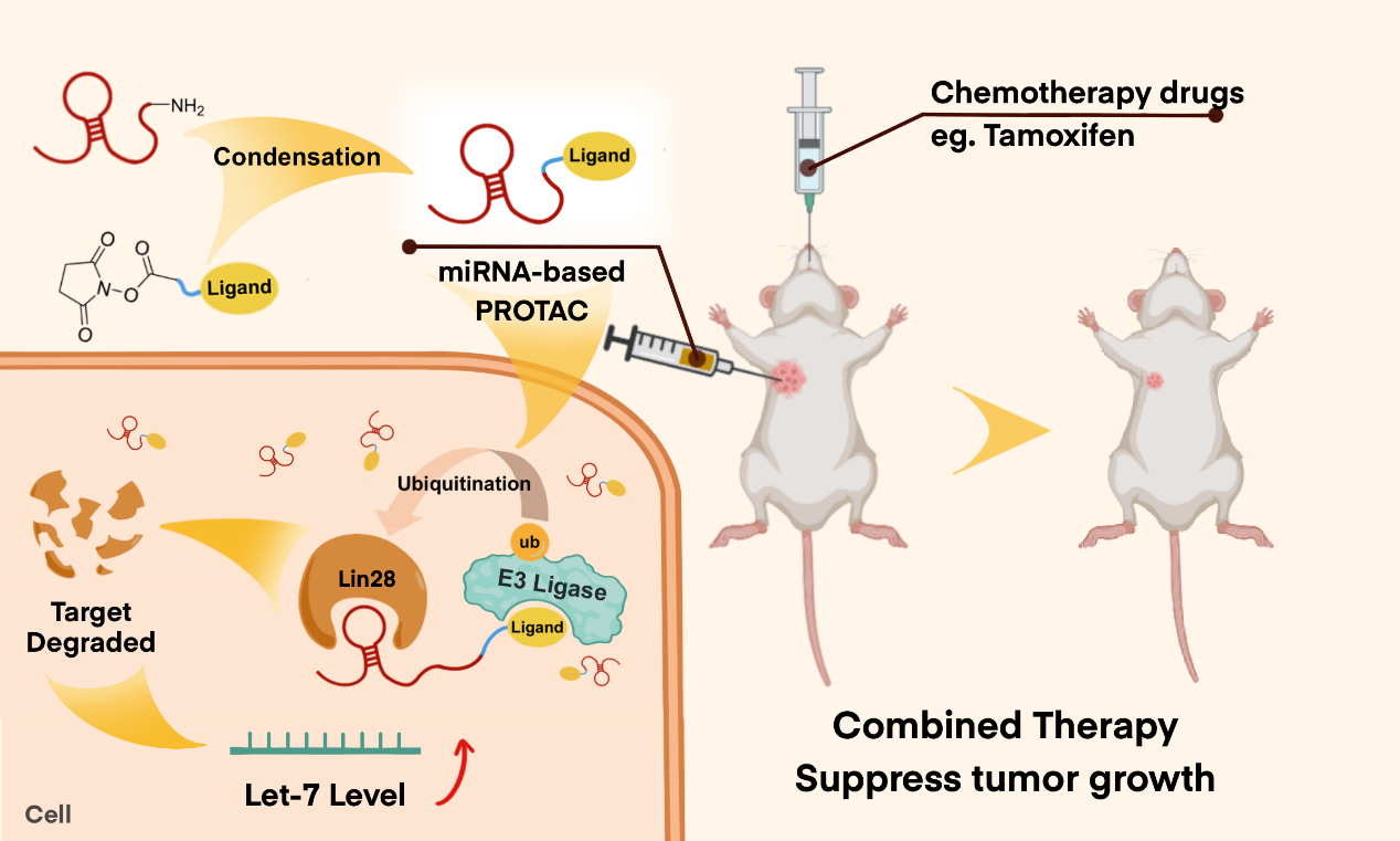 d115930a460e43798a066d4e4a361f77.png d115930a460e43798a066d4e4a361f77.png
