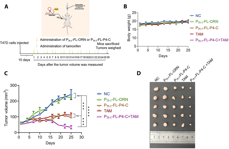 8071a0d5876144749895fd7358945e56.png 8071a0d5876144749895fd7358945e56.png