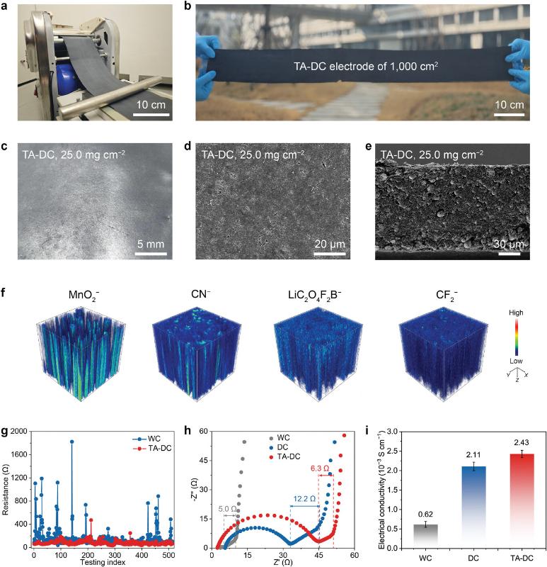 20241128_145234_492.jpg adma202410974-fig-0002-m.jpg