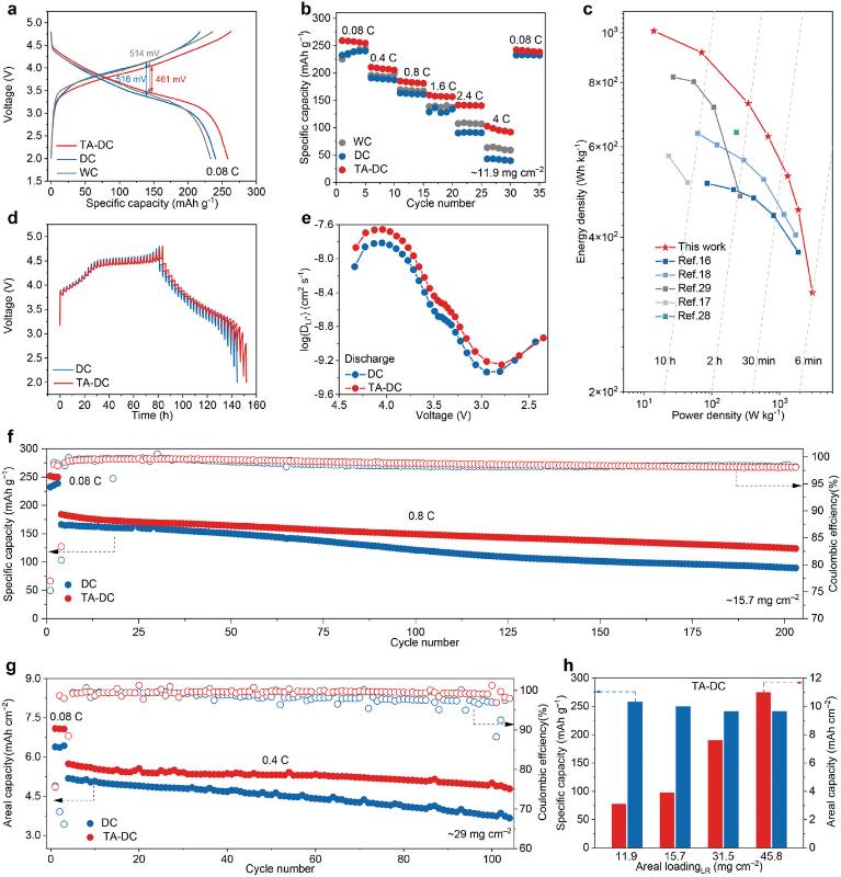 20241128_145525_249.jpg adma202410974-fig-0003-m.jpg