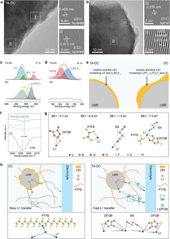 20241128_145548_777.jpg adma202410974-fig-0005-m.jpg
