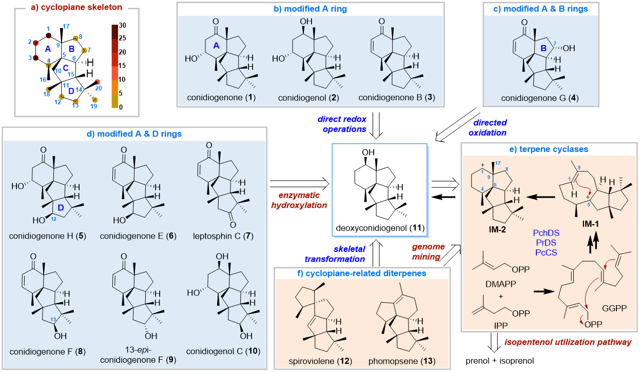 824c015791b74261a1130444fd77fa29.png 824c015791b74261a1130444fd77fa29.png