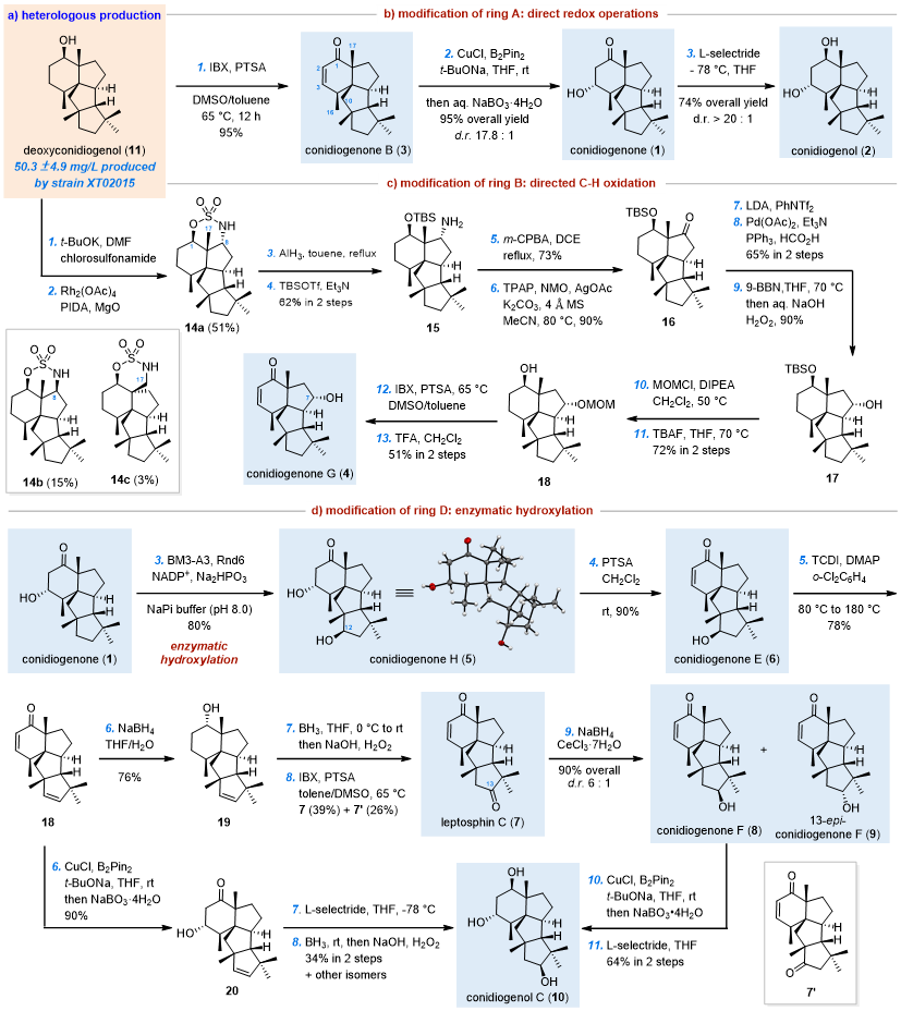 533fc7082c5348e298bca9130e2929e3.png 533fc7082c5348e298bca9130e2929e3.png