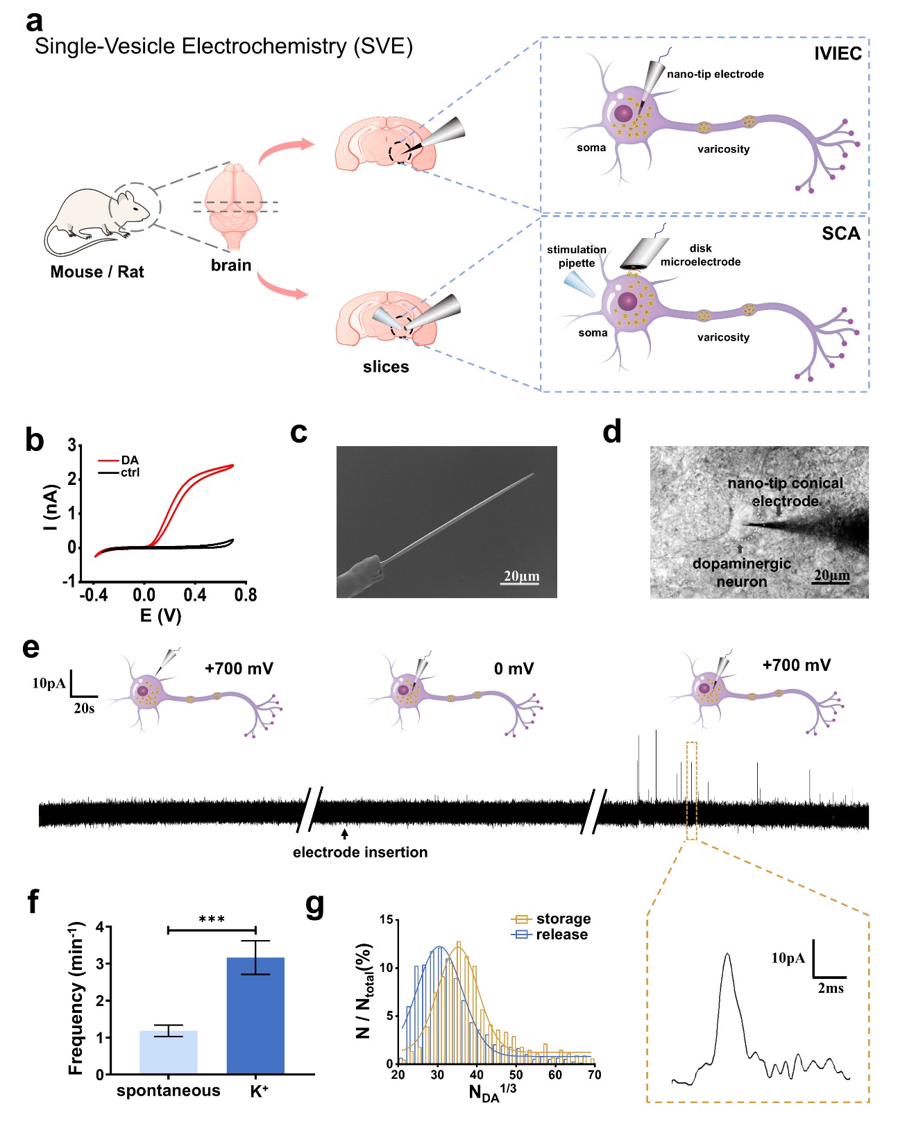 adbf31b6b28745b981a674f995ac6779.jpg adbf31b6b28745b981a674f995ac6779.jpg