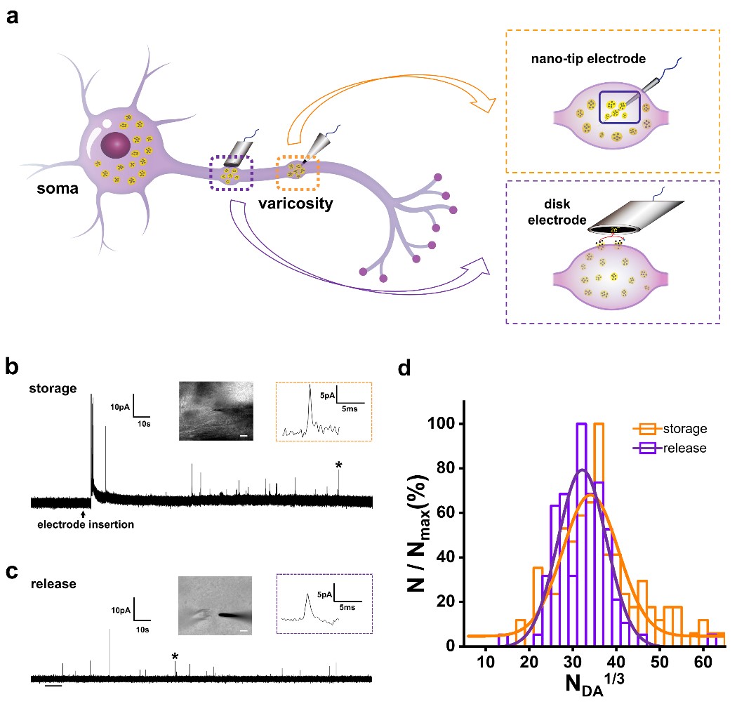 730559fd97f54d8aa8b7bca5e39542ae.jpg 730559fd97f54d8aa8b7bca5e39542ae.jpg
