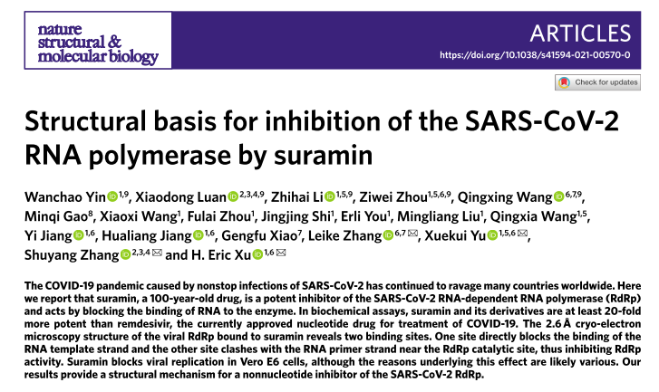 张抒扬课题组合作解析新冠病毒复制酶与苏拉明复合物结构
