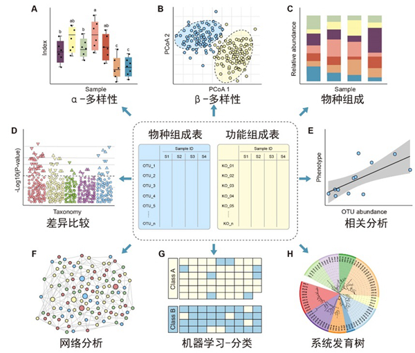 白洋研究组发表“微生物组数据分析方法”的重要综述