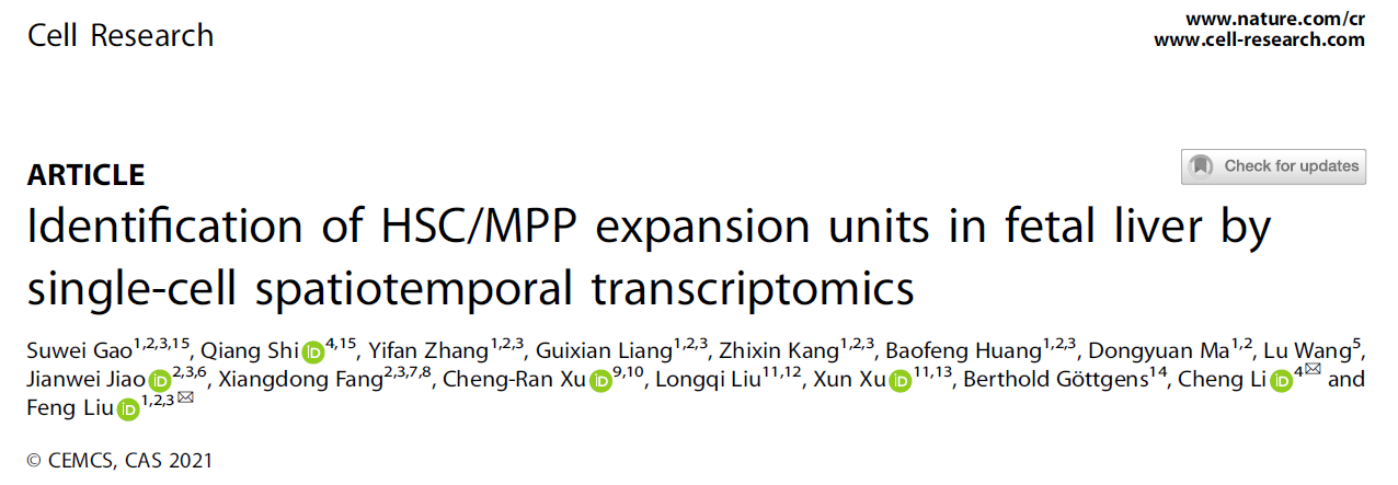 生命科学学院李程研究组与合作者揭示胎肝造血干细胞扩增功能单元“HSC PLUS”