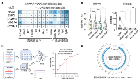 Nucleic Acids Research｜胡家志课题组开发全面评估基因编辑产物新方法