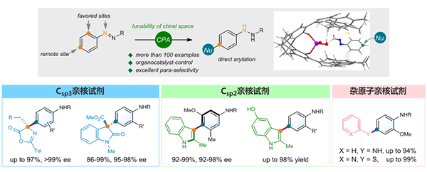 我国学者在芳烃位点选择性C-H官能化方面取得进展