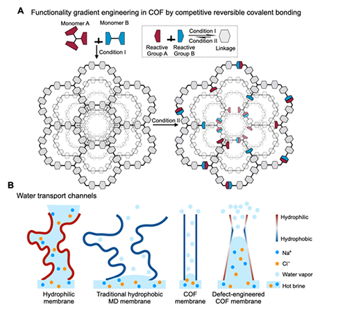 我国学者在共价有机框架薄膜膜蒸馏海水淡化研究方面取得进展