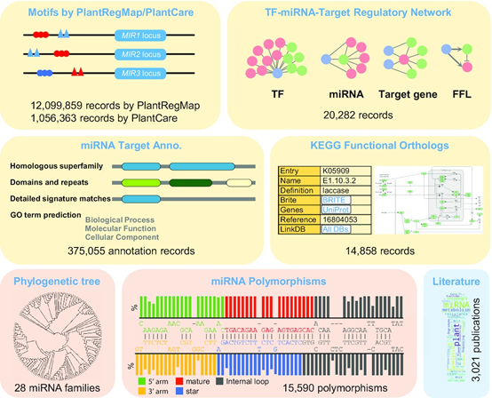 Nucleic Acids Research发布植物microRNA数据库新版本