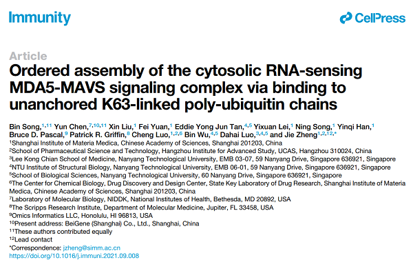 中科院学者Immunity发文：MDA5-MAVS抗病毒信号通路组装程序与激活机制