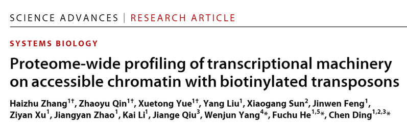 贺福初/丁琛团队《Science Advances》报道精密解析染色质开放区域蛋白质-DNA转录机器的“工具包”