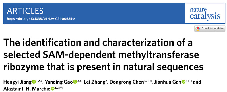 Alastair Murchie-陈东戎课题组《Nature Catalysis》发现首个"SAM 依赖的甲基转移酶核酶"