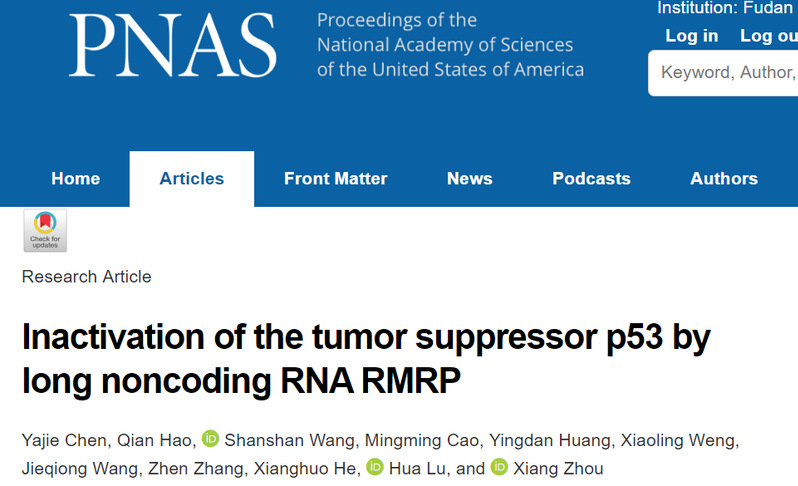 周祥课题组《PNAS》揭示促癌长链非编码RNA RMRP作用机制