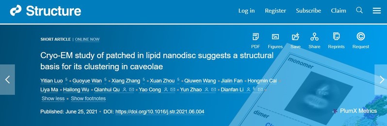 屈前辉课题组分别在《Structure》 & 《Immunity》上报道Patch1研究及EB病毒vGPCR研究