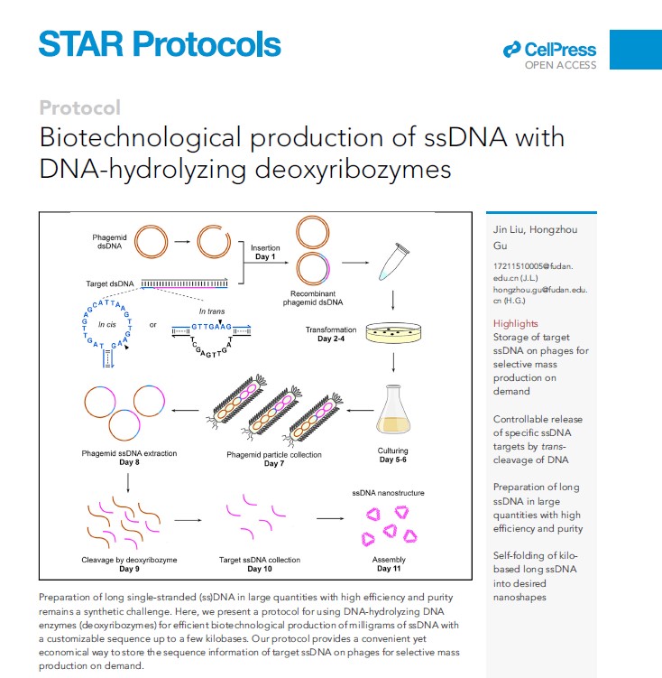 顾宏周课题组《STAR Protocols》报道制备长单链DNA的生物法新策略