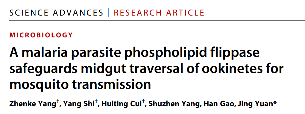 袁晶教授课题组在Science Advances上发文揭示疟原虫按蚊传播的关...