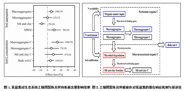 我校李建龙教授团队在全球变化研究又取得了重要成果，提出我国生态系统土壤有机碳固定与碳中和新的机制和途经