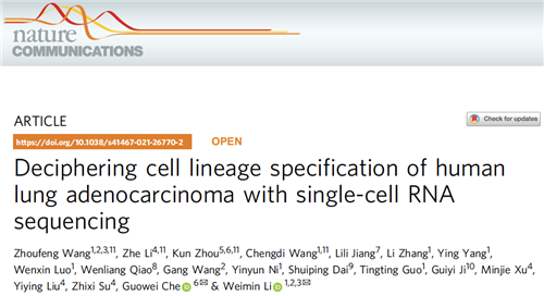 川大华西医院呼吸与危重症医学科与胸外科在Nature Communications发表研究论文，揭示肺腺癌演进的细胞及分子特征