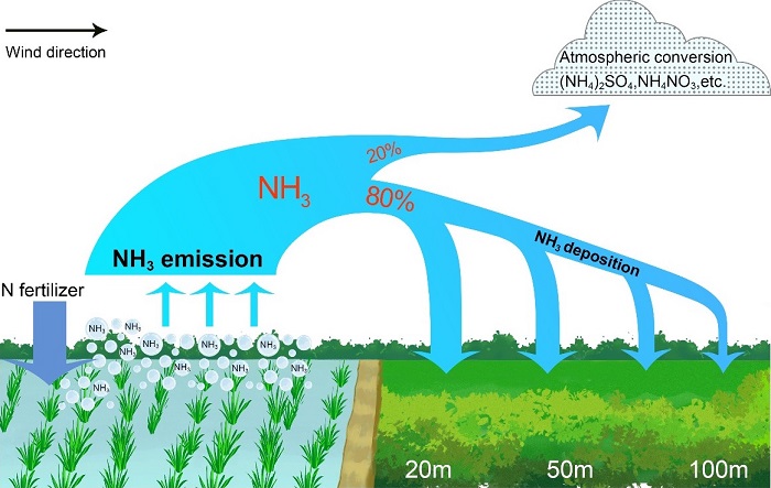 亚热带丘陵区氨气近源沉降取得进展