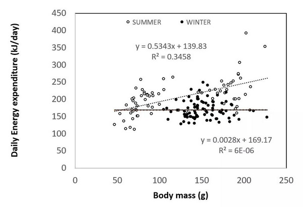 西北高原所小哺乳动物适应性进化与管理学科组最新发现：青藏高原鼠害暴发有奥秘！