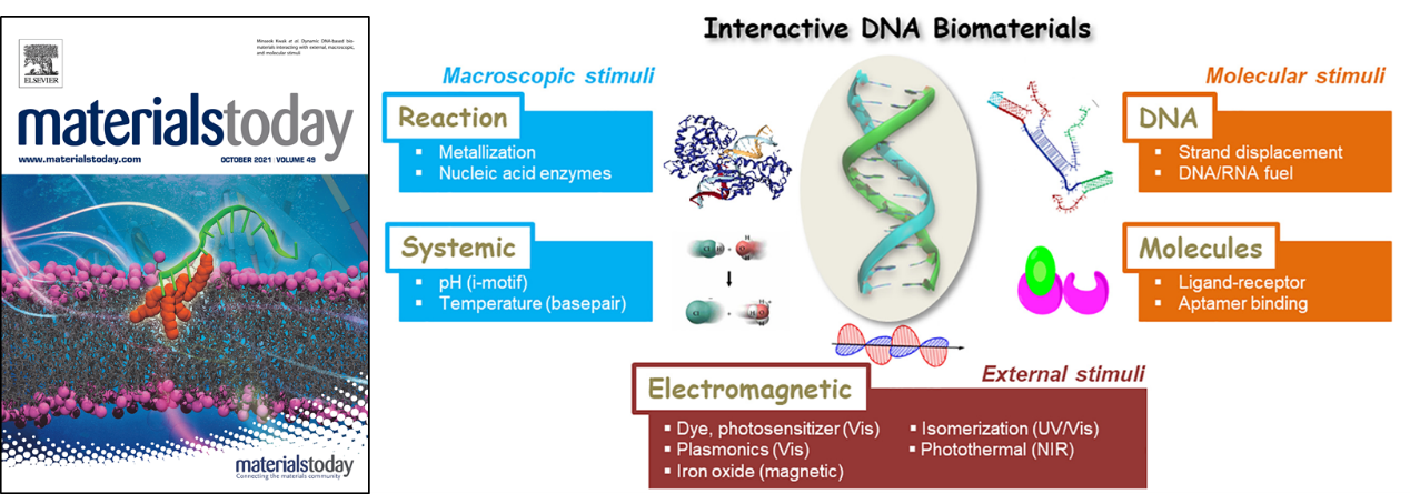 霍帅东团队发文Materials Today综述基于DNA的动态生物材料研究进展