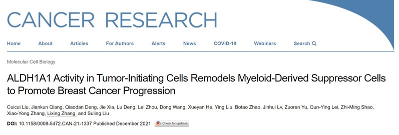 复旦大学《Cancer Research》发文：肿瘤干细胞标志物通过重塑免疫微环境促进乳腺癌