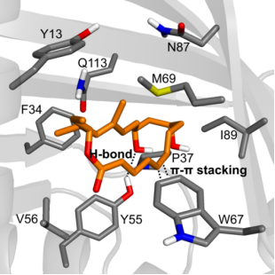 河南省脑靶向生物纳米药物重点实验室在Journal of the American Chemical Society发表最新研究进展