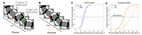 眼科刘陇黔教授团队在Investigative Ophthalmology &amp; Visual Science （IO...