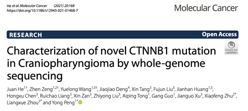 神经外科周良学教授团队在Molecular Cancer发表研究论文 全面解析颅咽管瘤基因突变特点