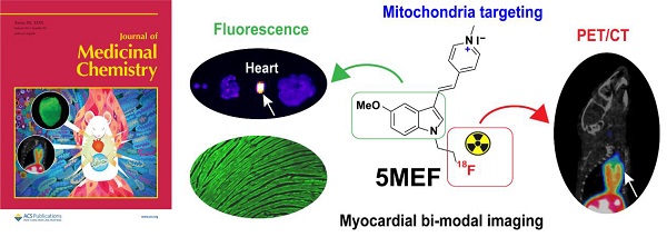 JMC封面 | 上海药物所分子影像中心开发靶向心肌线粒体的PET/荧光双模态小分子成像探针