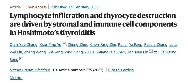 附属九院宋怀东教授团队研究发现“桥本甲状腺炎”致病新机制及潜在治疗靶点