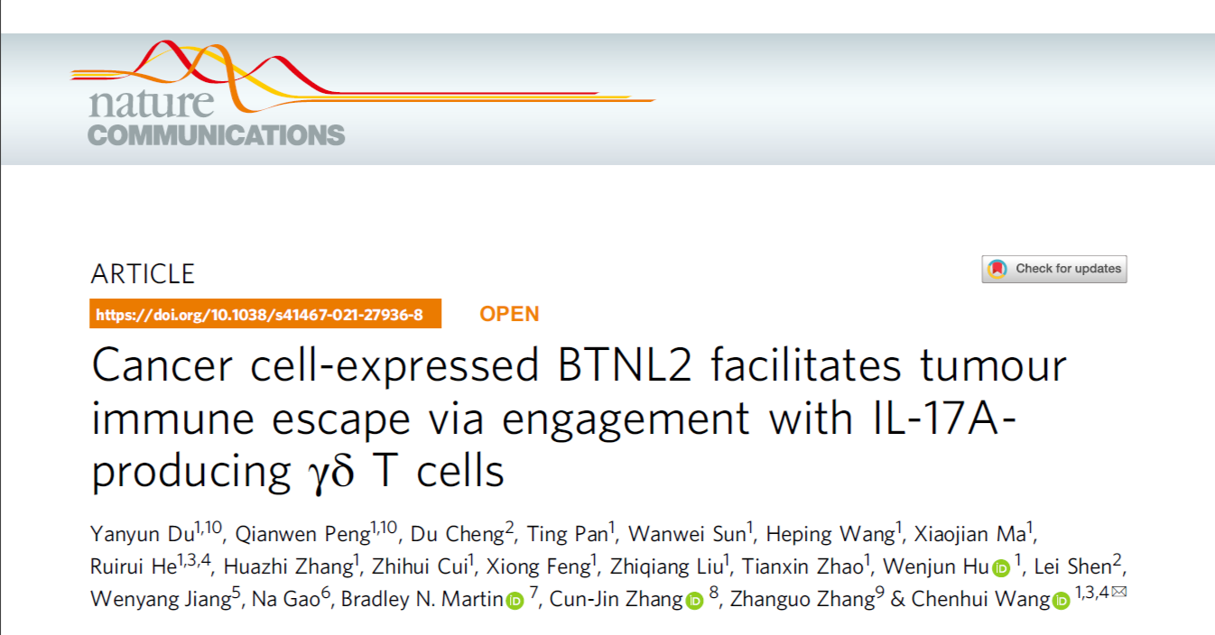 华中科技大学Nature子刊发文：BTNL2是抗肿瘤免疫治疗新的潜在靶点