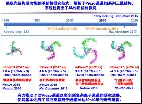 清华大学药学院肖百龙研究组揭示机械力分子受体Piezo的新型机械力感知分子机制