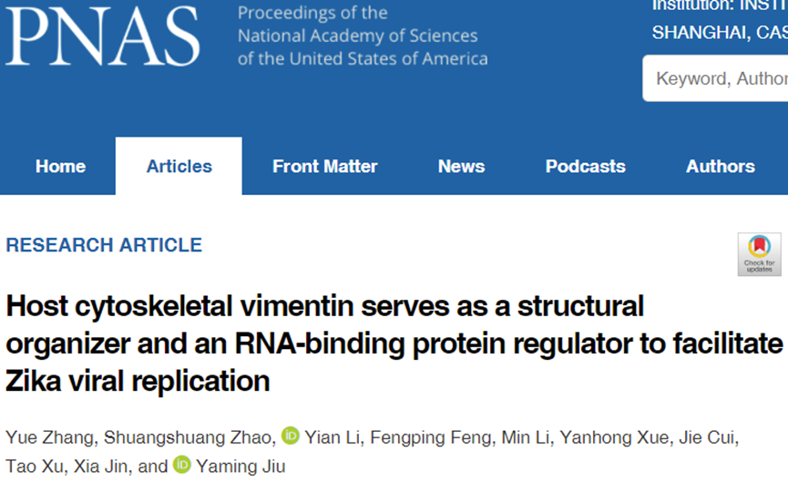 PNAS | 酒亚明课题组揭示宿主细胞中间丝在寨卡病毒感染中的双重作用