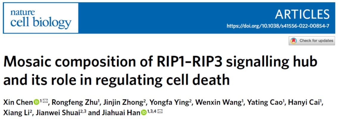 韩家淮/陈鑫团队首次解析细胞坏死小体原位纳米尺度组织模式