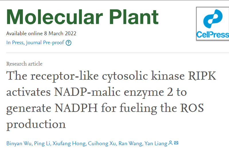 Molecular Plant解析ROS信号调控新机制