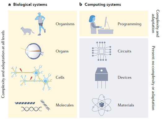 类脑智能芯片研究中心杨玉超教授与合作者在Nature Reviews Materials上发表基于动态…