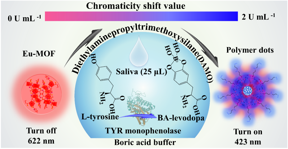 基于聚合物点和Ln-MOF的TYR单酚酶活性荧光生物传感器