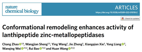 四川大学Nature Chemical Biology发文 揭示羊毛硫肽锌金属肽酶的催化机制