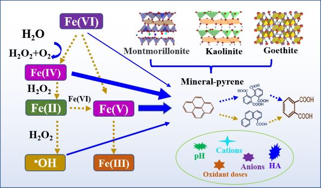 南京土壤所在高铁酸盐氧化降解矿物界面多环芳烃研究方面取得进展