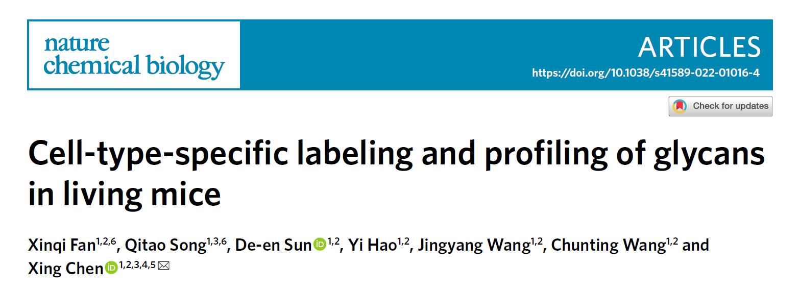 化学学院陈兴课题组实现动物活体中的细胞特异性糖质标记与分析