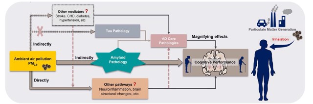 陈仁杰课题组联合研究发现长期空气污染暴露可致认知功能下降和阿尔兹海默症相关病理改变